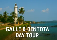 Galle Fort and Bentota River Safari